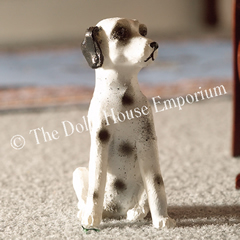 Dotty the Dalmatian